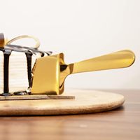 Crazo Fashion Cuchillo para Pastel de Diseño Moderno Hecho a Mano, Acero con Acabado Dorado, para Uso en Restaurantes, Pala para Pizza, Espátula para Repostería y Tartas