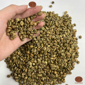 Grains de café vert Arabica du Vietnam à haute densité, approvisionnement en vrac, service OEM/ODM disponible, exportateur vietnamien prêt à expédier - Product Image 1