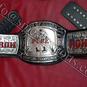 ROH Pure Ring of Honor Championship Wrestling Belt Title guantes de boxeo conjunto de bolsa - Product Image 1