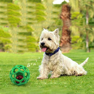 New Arrival High Bouncy Modern Fashion Dog <b>Toy</b> <b>Ball</b> Bell Tennis Hollowed-out Chew Teeth Non-toxic Elastic Interactive TPR <b>Ball</b> - Product Image 3