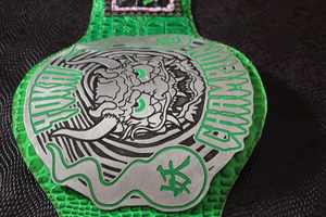 เข็มขัดแชมป์โลหะสั่งทำพิเศษ ดีไซน์น้ำหนักเบา โลโก้สั่งทำ สีสั่งทำ แบรนด์สั่งทำ สำหรับกีฬามวยปล้ำ - Product Image 4