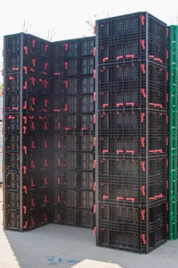 Stampi per Calcestruzzo in ABS PP Cassaforma in Plastica per Colonne Muri di Fondazione Solai di Copertura per Edifici in Calcestruzzo - Product Image 4