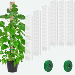 Modular D-Shaped Plastic Coated Moss Pole 48 Inch Snap-Fit Extendable <b>Greenhouse</b> Use Simple <b>Plant</b> Support - Product Image 6