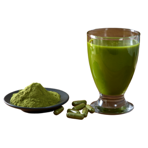 Poudre de Moringa oleifera de la meilleure valeur sur le marché - Product Image 4