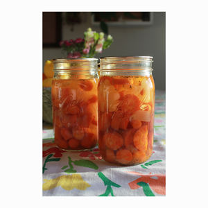 Carottes en conserve proposées à prix réduit pour la vente en gros et la restauration - Product Image 5