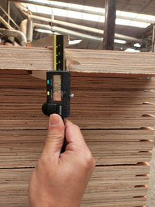 Contrachapado de Madera de Alta Calidad Kego T5 para Contenedores de Envío - Product Image 6