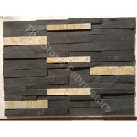 Panneau mural en pierre de quartzite noir TSF, surface fendue, résistant aux acides, utilisation extérieure, design moderne, écologique, durable