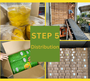 Dried Mango Slice Soft Texture And Sweet Taste Made With AD Drying Tropical Fruit For Export Grade Market - Product Image 5