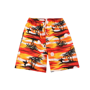 Pantalones cortos de malla para hombre, Shorts de moda de Color, 100% algodón - Product Image 1
