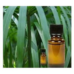 Huile Essentielle de Cypriol 100% Pure de Qualité Thérapeutique, Liquide Hydratant, Éclaircissant et Nourrissant, Directement de la Racine - Product Image 1