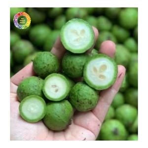 Dracontomelon (Fruta Ácida Verde) Congelado IQF Entero para Servicios de Alimentación y Procesamiento, Dracontomelon Congelado IQF para Exportación - Product Image 4