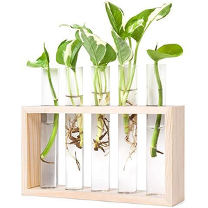 Vase en bois avec cinq tubes en verre de haute qualité Look moderne Finition naturelle Vase en verre en bois élégant pour une utilisation de table - Product Image 1