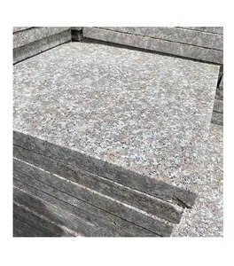 Il percorso in pietra per lastricati in granito grigio chiaro caldo pavimenta la decorazione esterna multicolore in Vietnam realizzato in pietra di granito naturale
