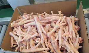 Patas de Pollo Enteras Congeladas de Primera Calidad en Caja con Vitaminas Bajo en Sal Venta al por Mayor Envío Rápido - Product Image 4