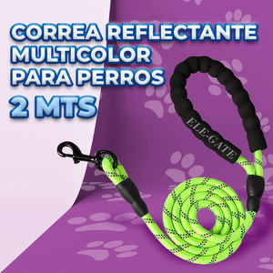 Guinzaglio per Cani in Nylon Riflettente Resistente da 2 Metri, Stile Semplice con Doppia Impugnatura, Motivo Uniforme - Product Image 5