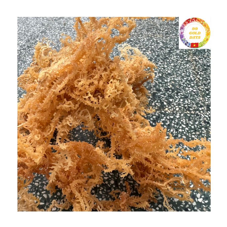 Высококачественные сушеные водоросли Eucheuma Cottonii из Вьетнама, органический морской мох, оптовые поставки на экспорт