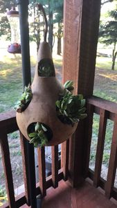 Ventes exceptionnelles : Jardinières en gourde sculptées à la main : Apportez un charme rustique à toutes vos plantes. LOTUS BLEU - HAUTE QUALITÉ & FACILEMENT DISPONIBLE - Product Image 2