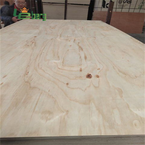 Revêtement mural, contreplaqué en pin CDX pour la construction - Product Image 6