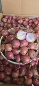 หอมแดงสีม่วงแช่แข็งก้อน | พร้อมปรุง | ขายส่ง - Product Image 4