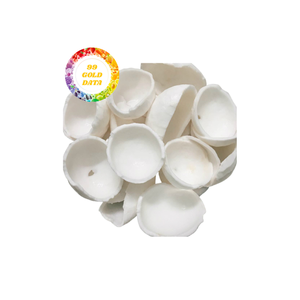 Iqf มะพร้าวขูดแช่แข็งสำหรับใช้ในอุตสาหกรรม - Product Image 1