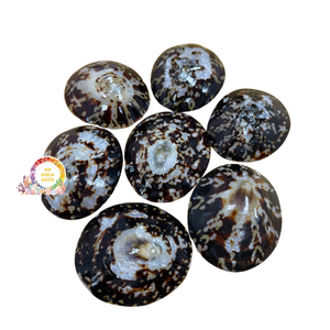 งานฝีมือธรรมชาติที่ทำด้วยมืออย่างงดงามขัดเปลือกหอยที่มีคุณค่าในเวียดนาม - Product Image 1