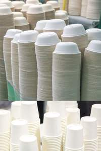 Assiettes jetables écologiques biodégradables en bagasse de canne à sucre, couleur naturelle, pour le camping, les fêtes, les buffets, les événements, le service à domicile - Product Image 6