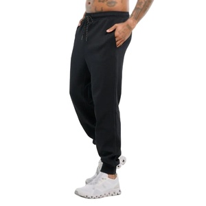 Pantalones deportivos fitness correr poliéster sarga American High Street primavera y otoño pantalones tamaño europeo hombres pantalones y pantalones - Product Image 4