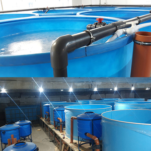 Cowater Free Design Recirculating Aquaculture System for Land-Based <span class=keywords><strong>Fish</strong></span> Farm Água Reciclagem Aquaculture Equipment - Product Image 6