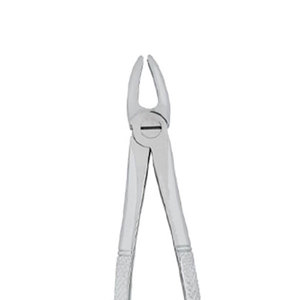 Juego dental, fórceps de extracción de alto grado de acero inoxidable, instrumentos quirúrgicos dentales de extracción de dientes, acero inoxidable - Product Image 2