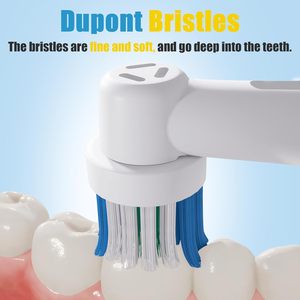 หัวแปรงสีฟันแบบเปลี่ยนได้ชนิดรูพรุนขนาดเล็ก สำหรับแปรงสีฟันไฟฟ้า Oral Bs ขายส่งจากโรงงาน OEM - Product Image 3