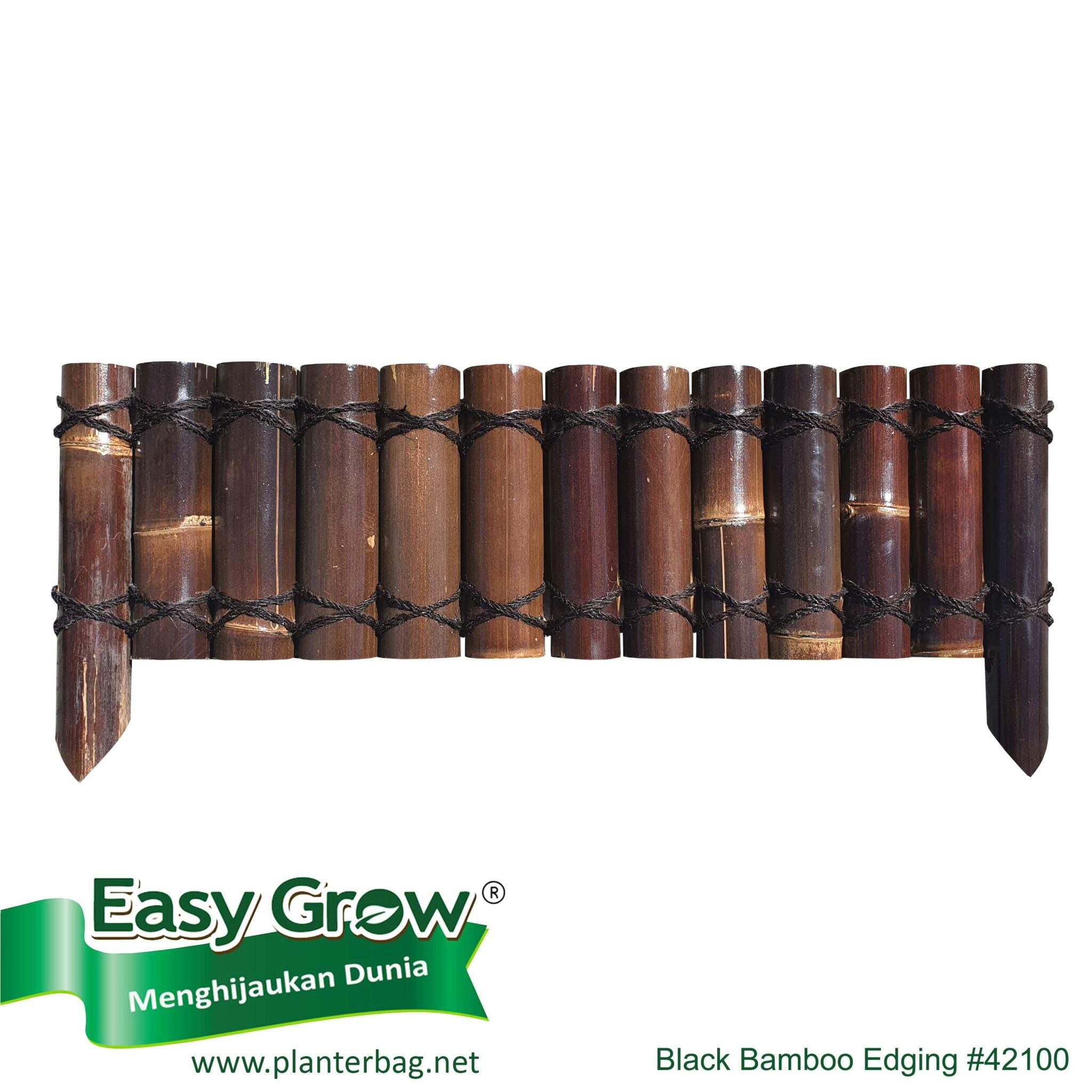 สีไม้ไผ่ธรรมชาติสีดำ