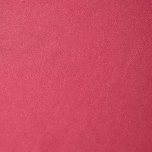 Camiseta de Algodón para Mujer de Uso Diario, Estilo Urbano Informal, Corte Regular, Color Sólido, Suave y Transpirable, OEM ODM, Logotipo Personalizado, Venta al por Mayor - Product Image 3