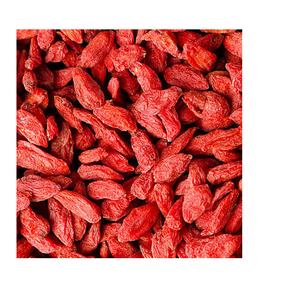 Baies de Goji séchées de qualité supérieure à vendre Top qualité aux meilleurs prix Idéal pour grignoter des smoothies et des recettes saines - Product Image 3