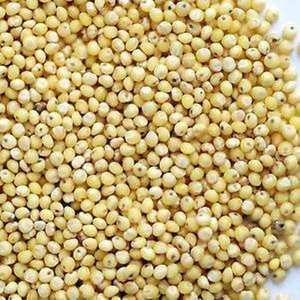 Fabricante profissional Natural Qualidade Premium Fábrica Venda Quente Raw Fresh Dried Yellow Millet Peas de