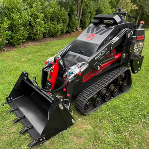 Livraison gratuite bon marché Mini Skid Steer moteur CE EURO5 EPA Skidsteer roue diesel sur chenilles Mini chargeuse sur chenilles pour tout terrain - Product Image 2