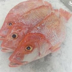 Offre Spéciale : Snapper Rouge Entier Biologique Premium Faible en Sodium, Congelé, Origine États-Unis - Product Image 5