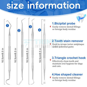 Kit de détartrage dentaire en acier inoxydable Kit de détartrage dentaire réutilisable Kit de détartrage dentaire à succès avec boîte de rangement - Product Image 2