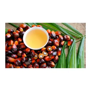 Aceite de Palma Rojo/Aceite de palma crudo de 100% pureza (CPO) para cocinar Precio barato de alta calidad Aceite de palma crudo de 100% pureza