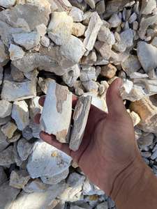 Cendres d'os fossile de Mamal, os de Dragone du Maroc - Additifs chimiques de qualité industrielle - Product Image 1