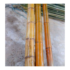 Fournisseur fiable de poteaux en bambou Poteaux en bambou à forte demande pour l'exportation Poteaux en bambou de taille personnalisée pour l'exportation du Vietnam - Product Image 1