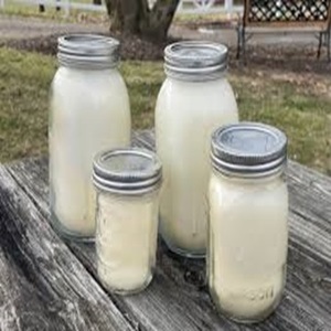 <b>Pure</b> Natural Beef Tallow for Sale at Moderate Prices - Product Image 6