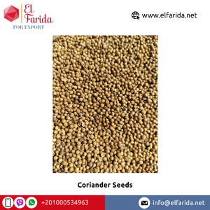 Graines de coriandre moulues naturelles de qualité supérieure 100% Produit à une seule épice d'excellente qualité Coriandre moulue nutritive d'Égypte crue - Product Image 5