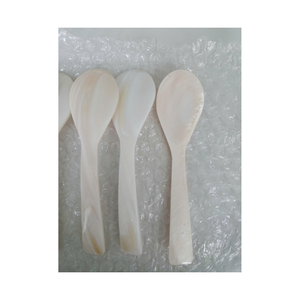 Cuillère élégante en coquillage pour servir du sel ou du caviar en nacre naturelle avec finition polie - Product Image 1