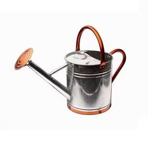 Regadera con encanto de terraza Úsela para regar plantas en su balcón o terraza, jardín, agregando una lata de agua de atractivo rústico - Product Image 5