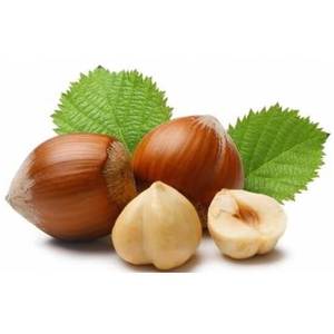 Noix de macadamia Vente en gros Superaliment végétalien pour collations ou huile - Product Image 4