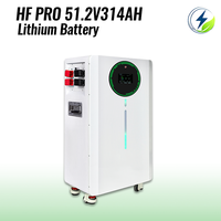 Batterie solaire LiFePO4 8000 cycles 16 kWh 314 Ah 51,2 V avec BMS intelligent CAN et protection IP54 pour systèmes solaires AL-MB512628