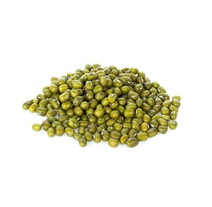 Premium Quality Food Grade <b>Vigna</b> <b>Beans</b> Green Mung <b>Beans</b> for Human Consumption - Product Image 4