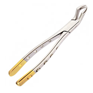 Forceps d'extraction dentaire professionnel, manche plaqué or, acier inoxydable, instrument chirurgical buccal - Product Image 1