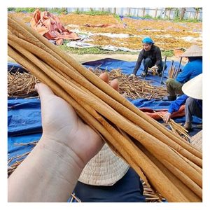 Nouvelle saison, cannelle longue de qualité supérieure du Vietnam / Koritsa / Shinamon - Produits d'exportation populaires - Product Image 2