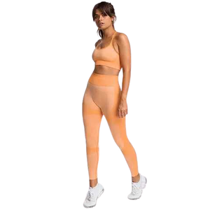 Ensemble d'entraînement de Compression sans couture pour femmes, Legging taille haute, soutien-gorge de sport, magasin de vêtements pour femmes, couture en maille - Product Image 5